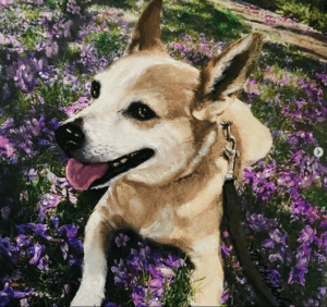 Portrait of happy dog in lavender field by artist Maryanne Chisholm